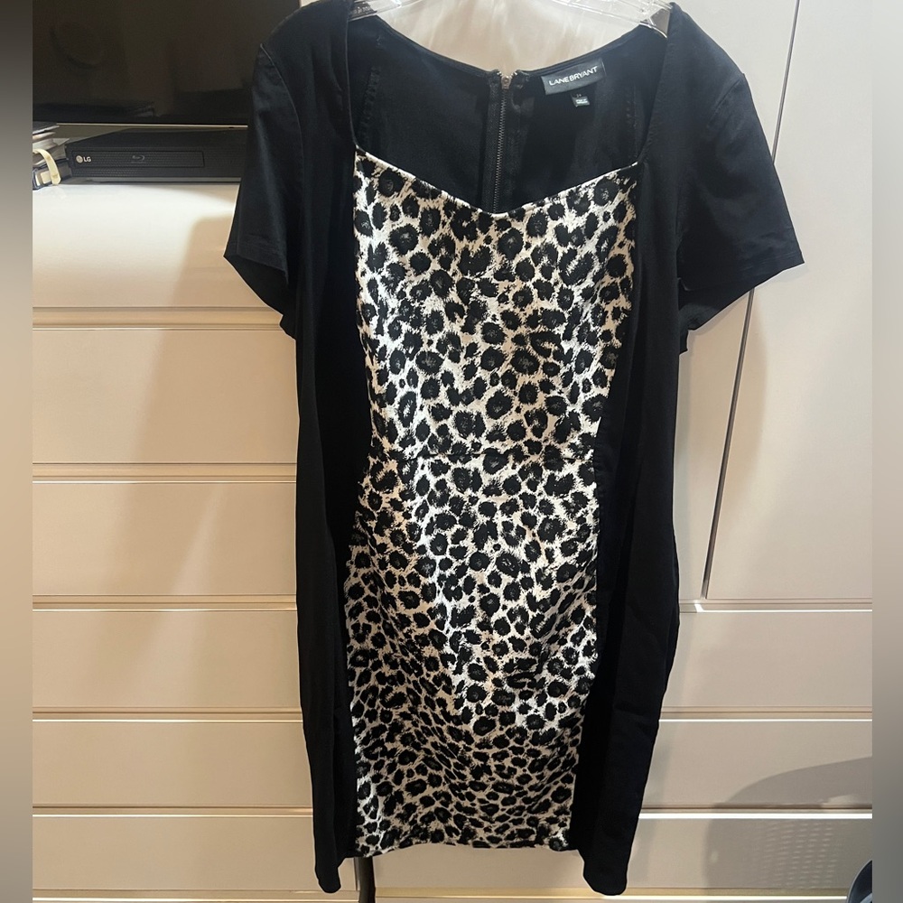 Leopard and black dress